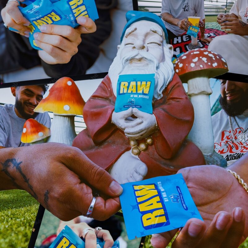 Mr Mushies Chocolate Bars, Mr Mushies Bars, Mr Mushies Gummies, Mr Mushies Mushroom, Mr Mushies Swiss Chocolate Bar, Mrmushies, Mr Mushies gummy, Mr Mushies, Mr Mushies Cones, Mr Mushies Mushroom Chocolate